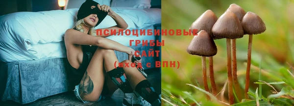 бошки Алексеевка