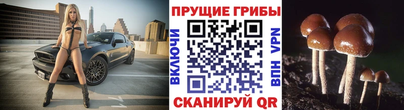 Галлюциногенные грибы ЛСД  Боровск 